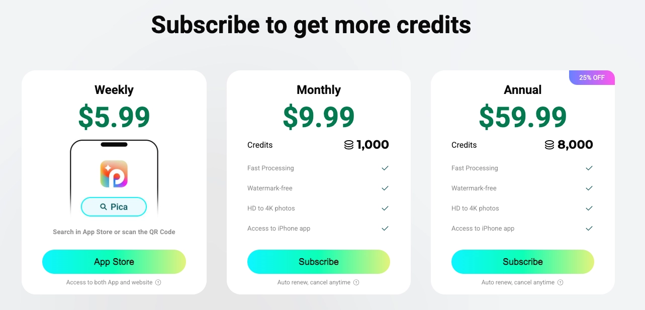 Pricing Details